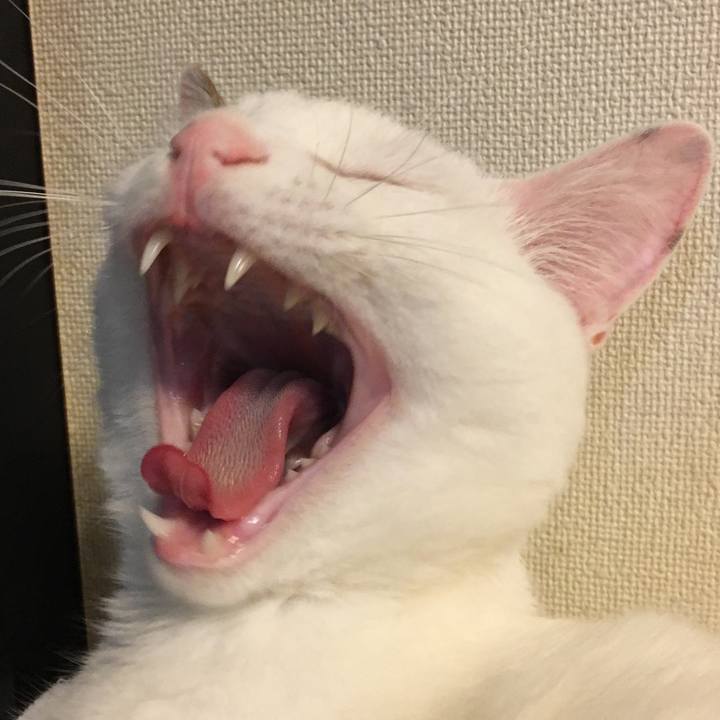 C0a209ee 1eb7 426c 8035 d5ebacd0af7e 1524982713839