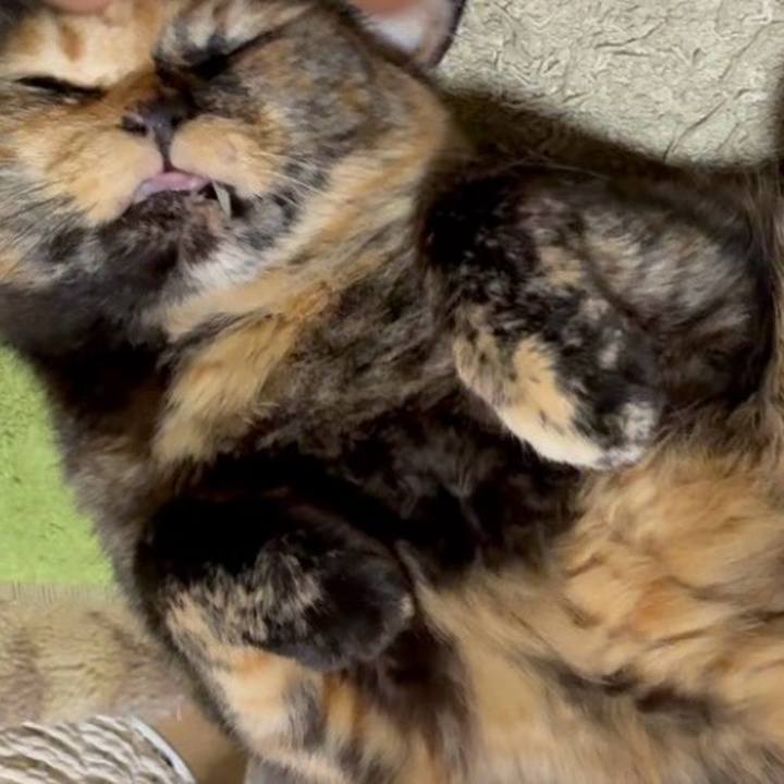 C0a21047 d511 41f2 99c1 7aef733c581d 1747449646981