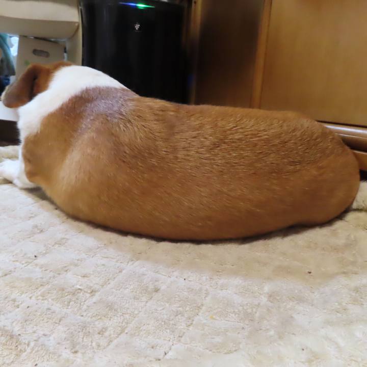 C0a22666 62d1 4b8a a216 a9b886b80b47 1634954936543