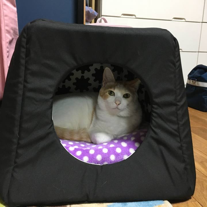 C0a23e01 769a 41cb b90d 938640f50503 1516717618582