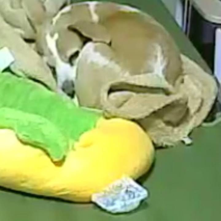 C0a24375 a3fb 41e7 a54c 09f3cc0391ad 1516581065176