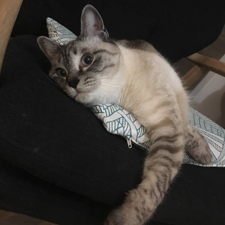 C0a27812 d1d9 4419 b304 a44513030fd4 1592136404685