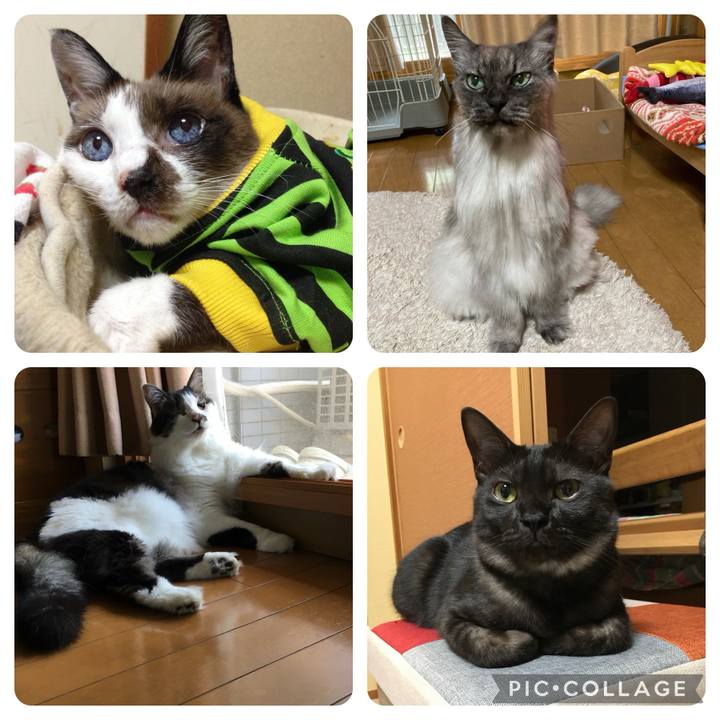 C0a2b166 ef7c 452e 85cb 2f4c46fd4a8f 1712274647427