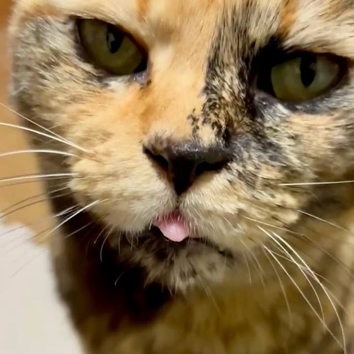 C0a2b8a3 04bd 405c a12e cdfe18bd036c 1767792228236