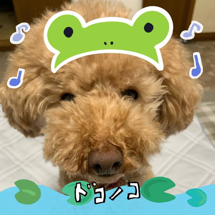 C0a2e4a5 5cab 4e5a be2f 1f77d8dae118 1717572009201