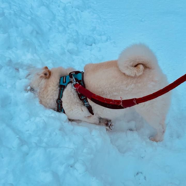 C0a2ea51 983d 48ac 951a bd8e1fb58a5a 1733436681908