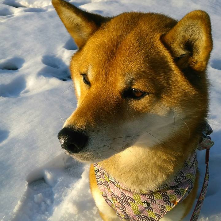 C0a311db aa6d 4472 8c68 ae584423aed2 1516691891925