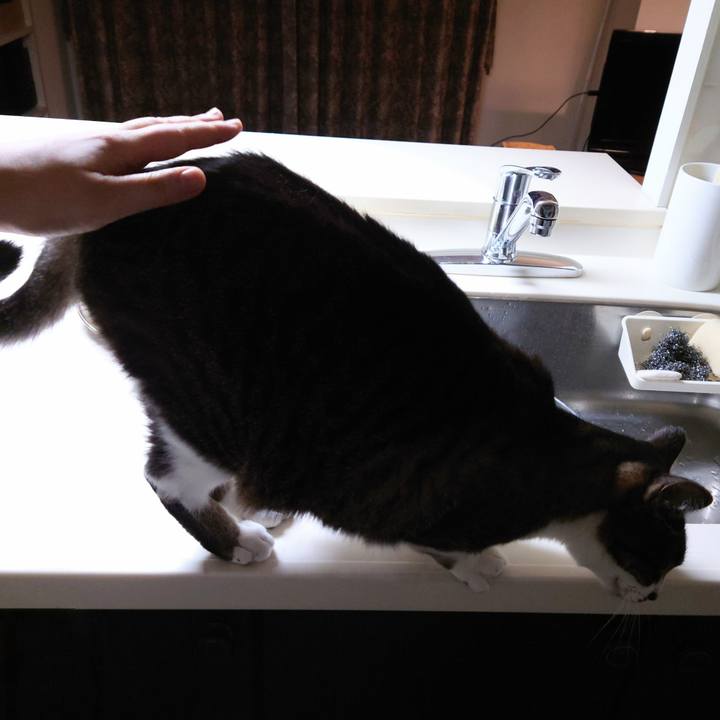 C0a3140f c310 4393 808a 5ba033186ca1 1770227339458