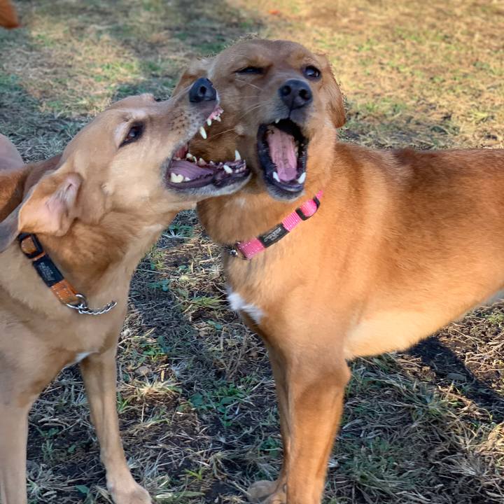 C0a32aca fc1c 448c 8db8 7636a60e5ff2 1573554208714