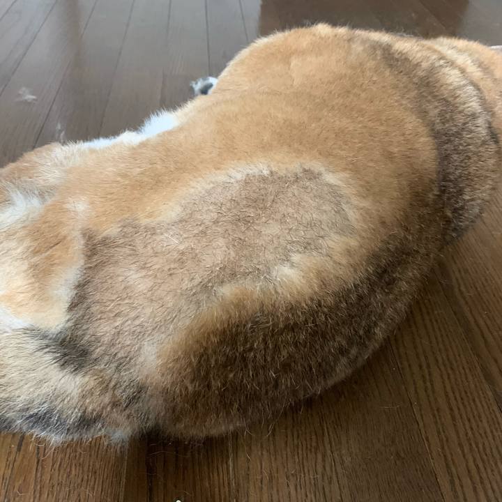 C0a3418c c548 4dde 98a9 40373b9eab42 1595775763119