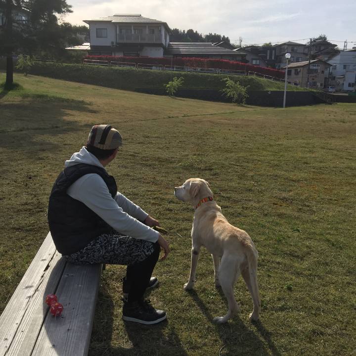 C0a398cd c825 4571 a7f9 ff7aa3b4c7ea 1557550268570