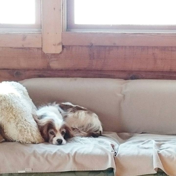 C0a3d0f3 503d 4973 84ea 6bdfbeb2c496 1513991306574