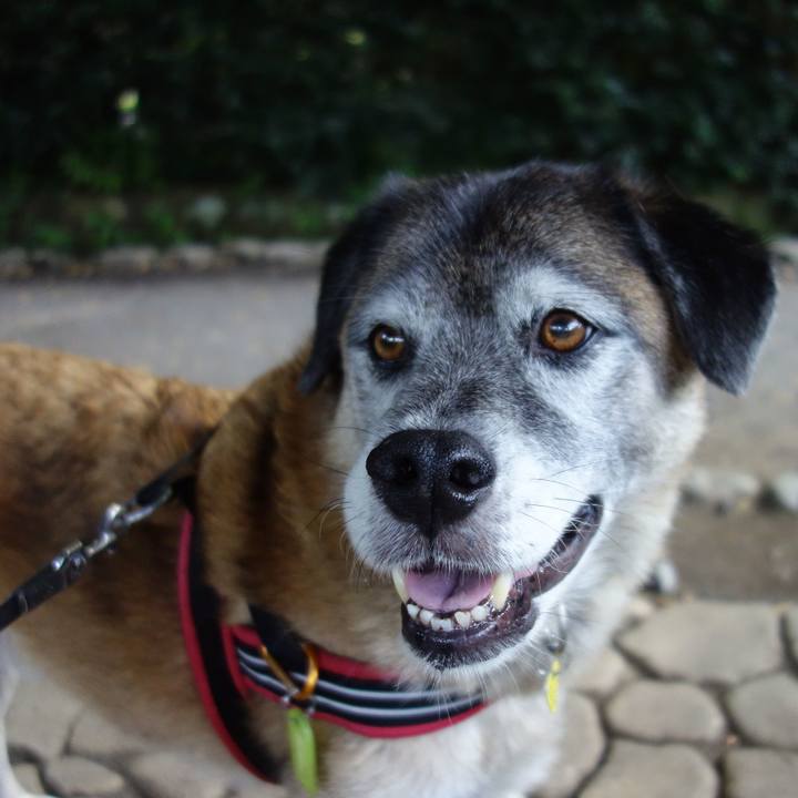 C0a41a01 fbfd 489a 8205 832755c59ffa 1569631813426