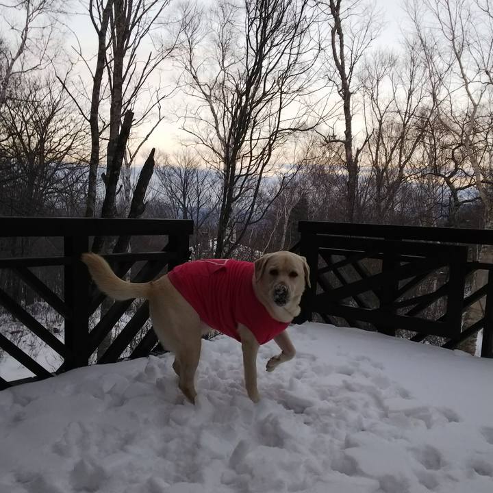 C0a48247 a175 4358 8f83 2eb1b88ff57c 1577615721008