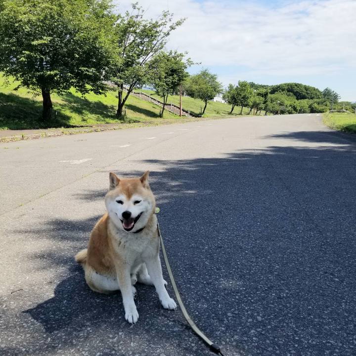 C0a49287 532f 4bd9 96f0 fc14ea1c8330 1656548561725