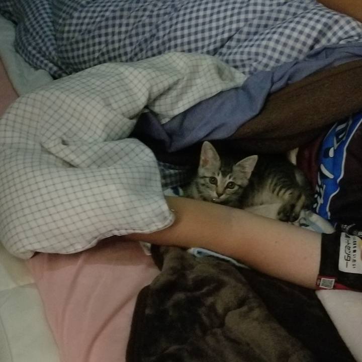 C0a4b2e3 f01c 460b 8ce2 cb420e4de3c1 1663978199884