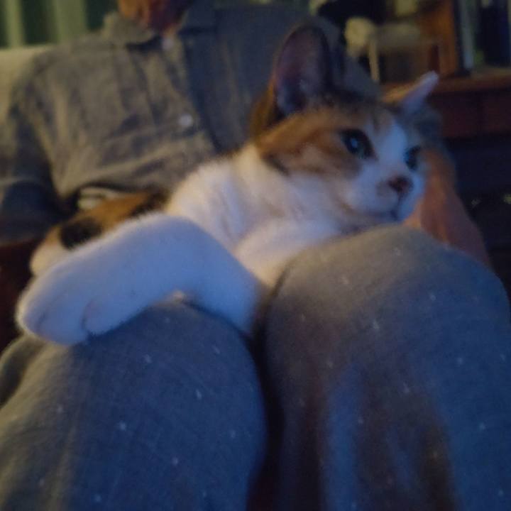 C0a4c7a2 7474 4f26 bc49 86368d9853d6 1690121477120