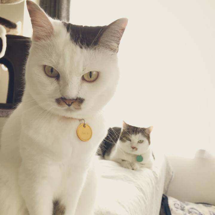 C0a4f917 fb9c 4bb3 b5bb 2dea92502422 1532834534327