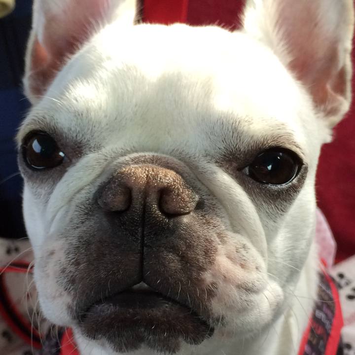 C0a54f1e 334f 4cdc 97fa cdc96b948302 1527852530680