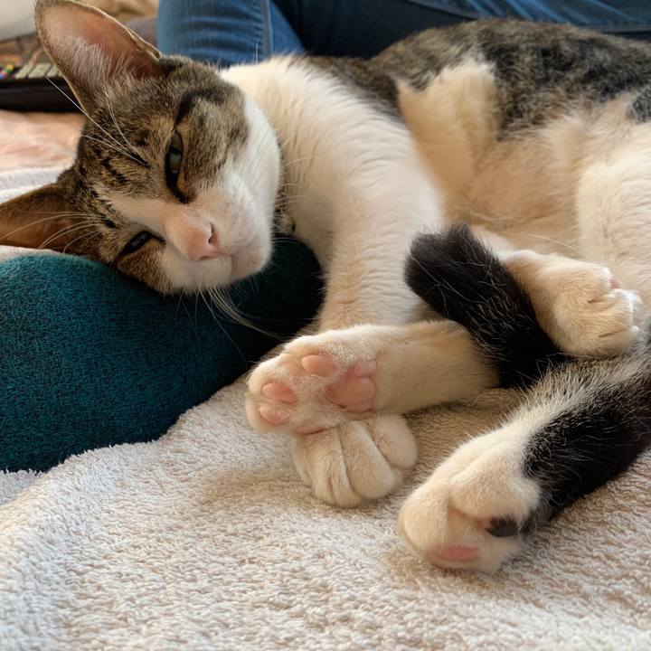 C0a55cea 0257 458e a112 bed851d5a0c8 1569037681412