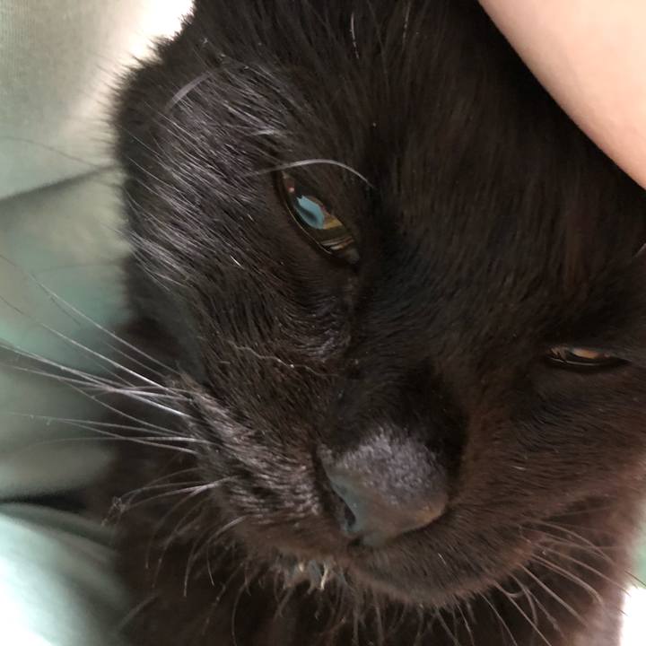 C0a6278a f61d 42e0 a2ff 1a92d67c6a2e 1631013905202