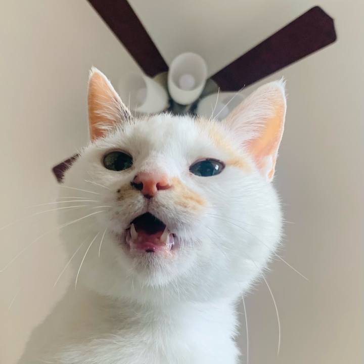 C0a629bd ce6e 4426 8a0a e7e3809ee04d 1618720139479