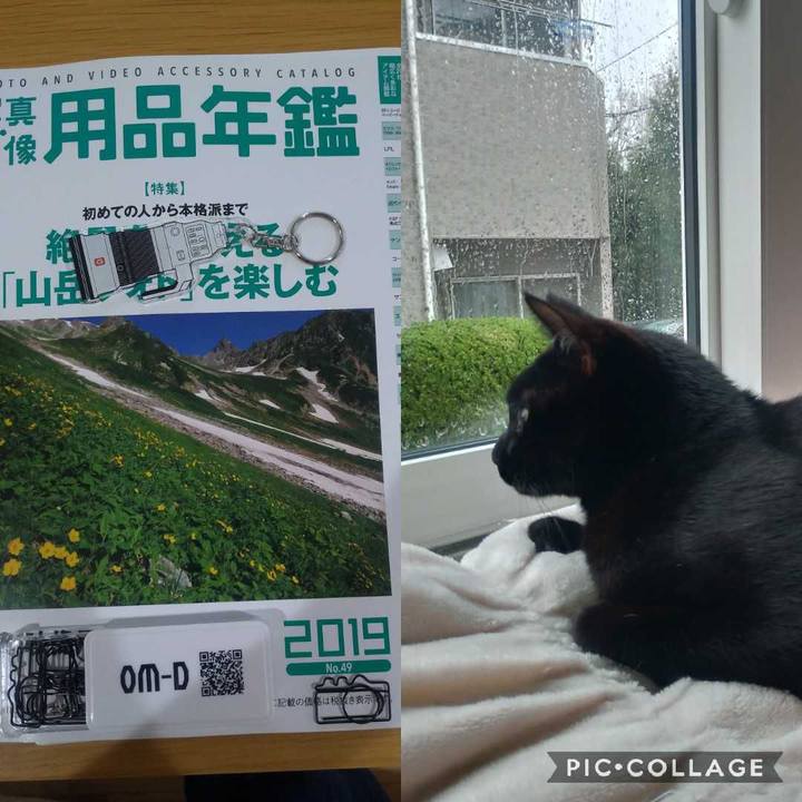 C0a62d09 a558 4ca4 98b3 9212f58a35f4 1551661265382