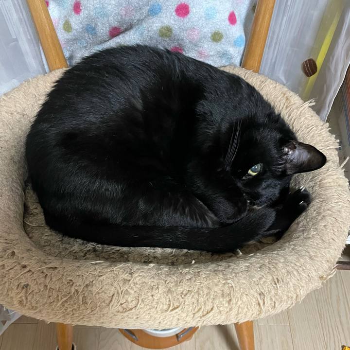 C0a6581b 50d4 432c 9172 da15600b2740 1762347016144