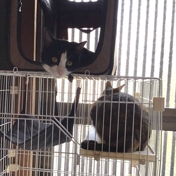 C0a6a8d3 d1b4 45b5 b6f3 e3025e3b0427 1653292545892