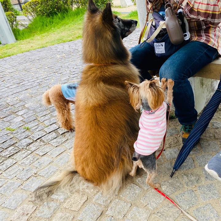 C0a6eb39 519b 4172 913a 88d057cfd7fa 1618307443230