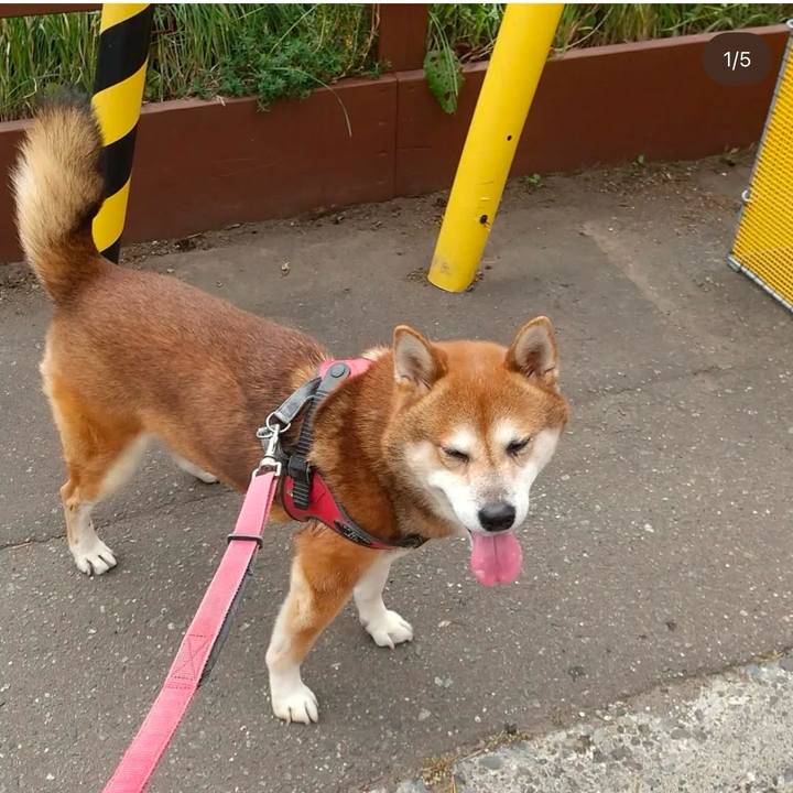 C0a6f998 5ed8 42e1 923b 0e796f498986 1737534645407