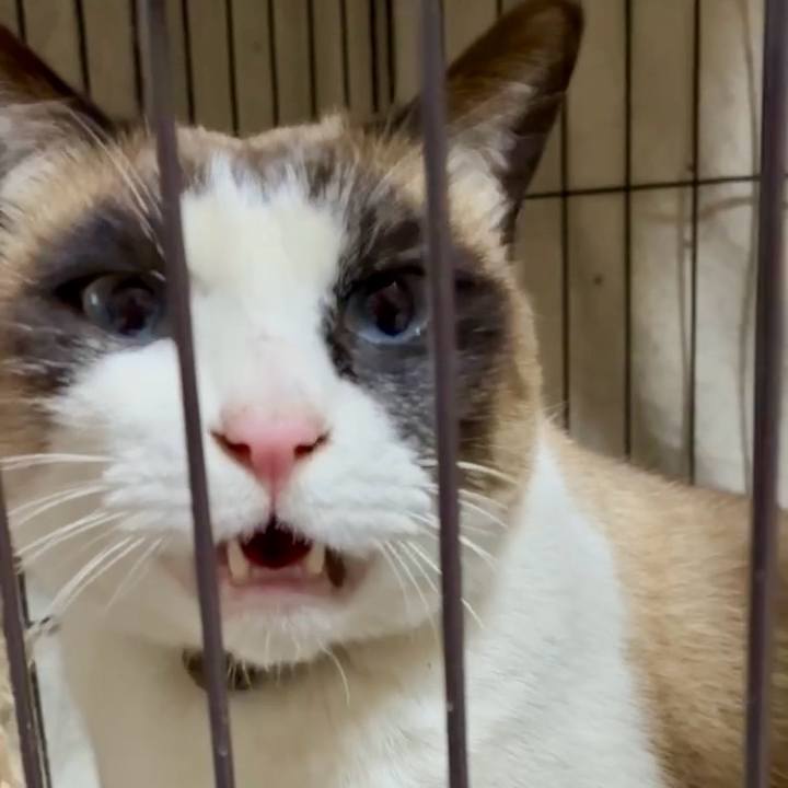 C0a70b06 c2e3 41a8 b8b2 85d3cf135d5e 1771246338221