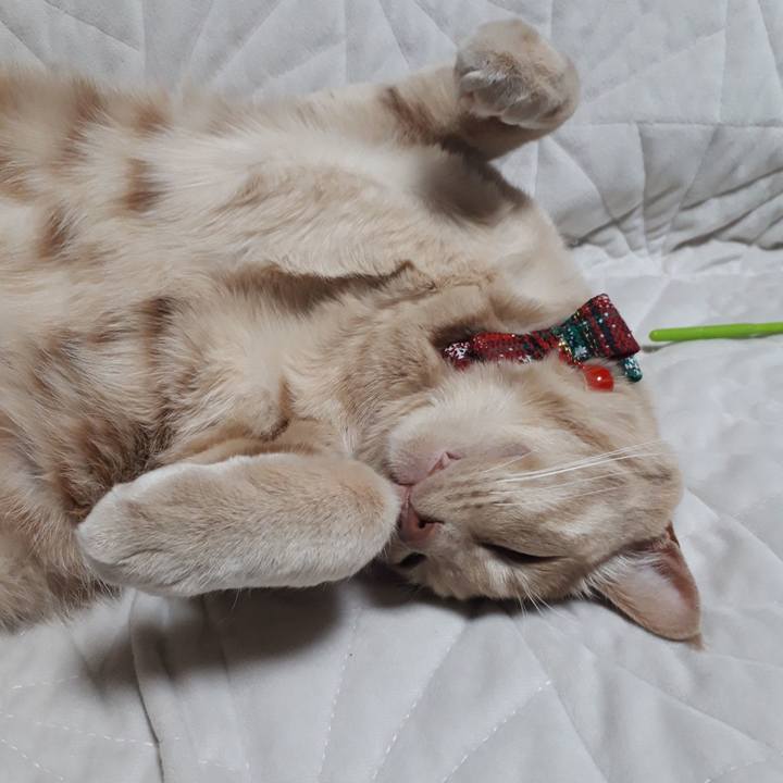 C0a73140 d19f 4a32 83f2 62e88325c337 1577957484709