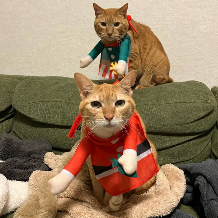 C0a73a3b 3450 4680 8dc5 a065e4a81aa3 1766315681356