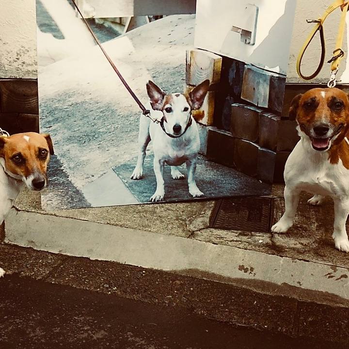 C0a73e16 abb5 4074 abb0 1a8c62b6d4e9 1524178025395