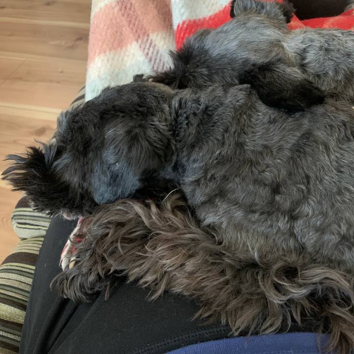 C0a745b0 1b46 4425 a352 5d22eda69c4e 1613607291459