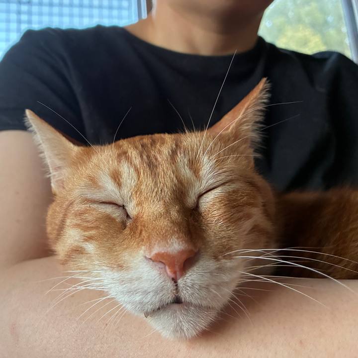 C0a7a7a5 5550 41f3 a358 fdbb1de1d05c 1758615303715