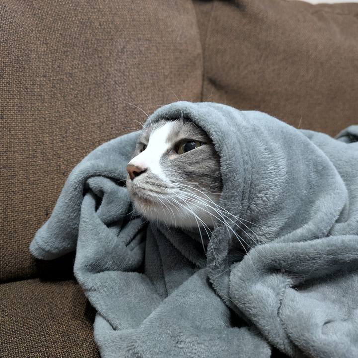 C0a7c30e aff3 47a8 a0b2 bb10a4b8cfae 1738470509498