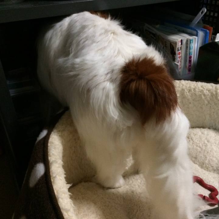 C0a7ceca 4c88 44b9 8c8c a06d147f566d 1512016166173