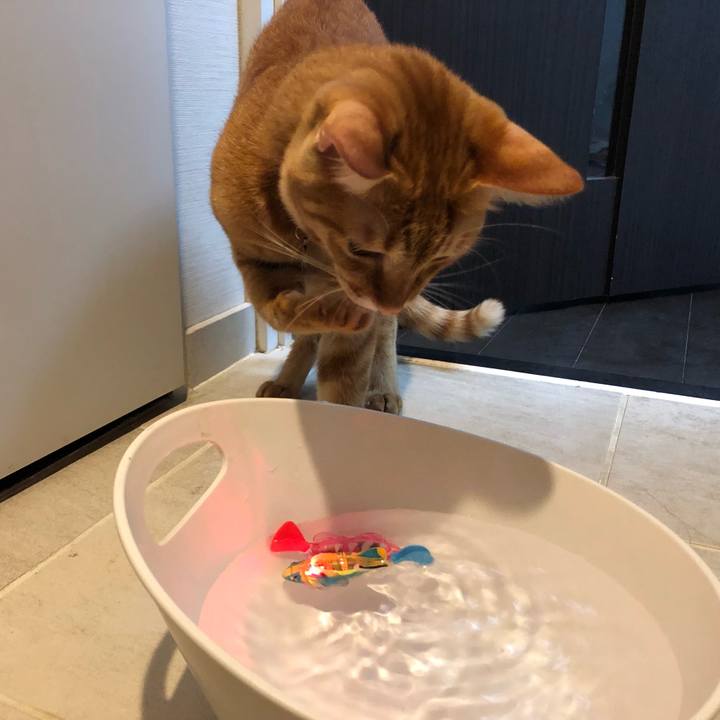 C0a7cf93 6172 4979 96b9 e196bead9dbe 1630009451452