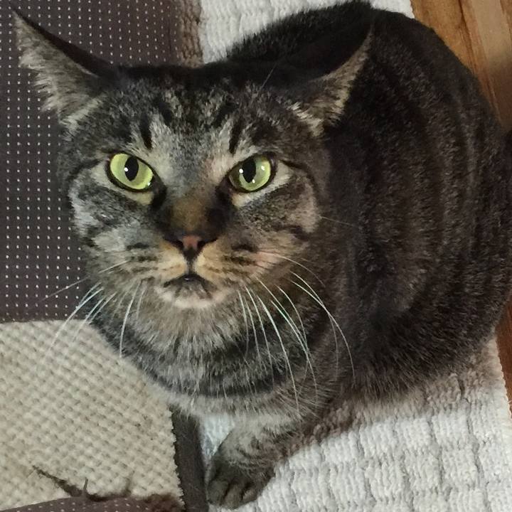 C0a7d25e 759a 4ad1 8516 f0a116a76334 1577450517006