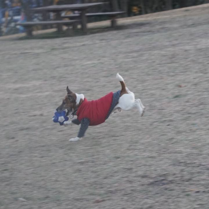 C0a81fd7 b3fb 4760 ad63 ee2b5dd9abb5 1612827811877