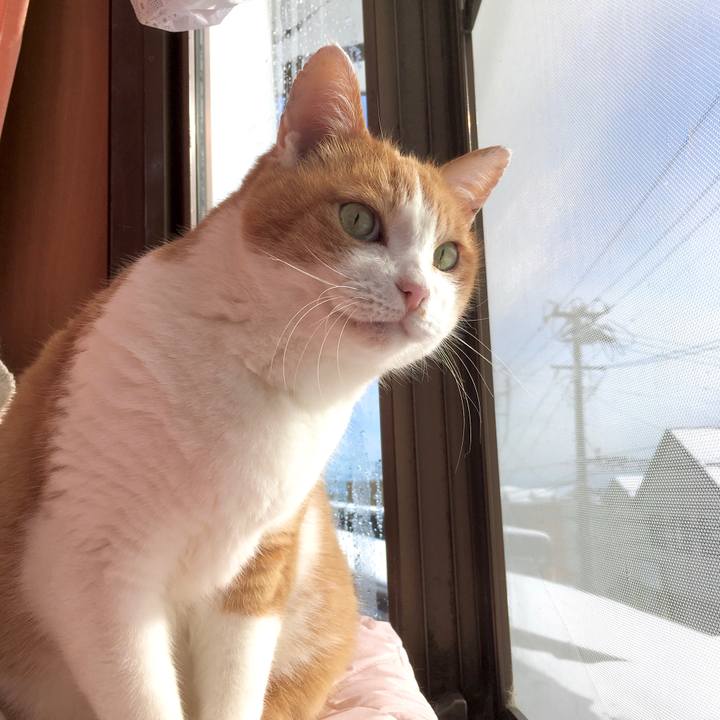 C0a8338f 1fa4 4d8e a02f 44fa8cf93e7f 1608524267036