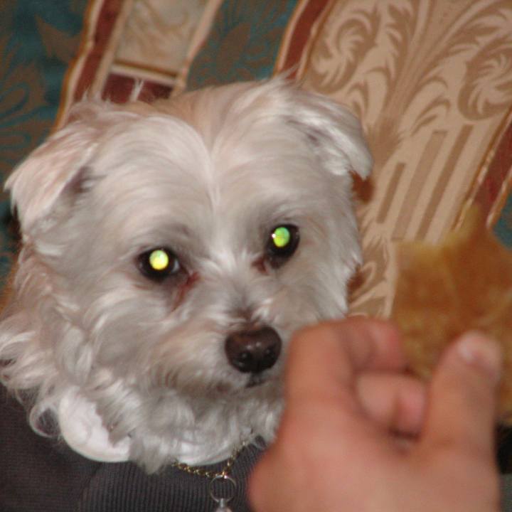 C0a84010 b6d8 4513 98d0 e52c75a64507 1528902795382