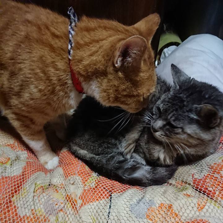 C0a8b8a4 375c 4f4d 83d8 7770b64d6929 1568899006143