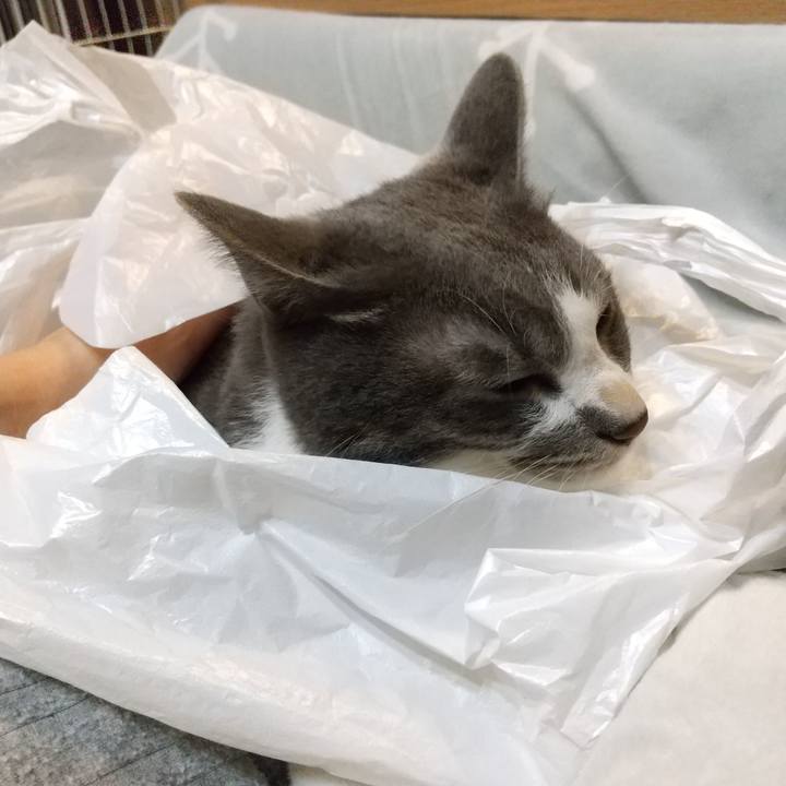 C0a8f78c f6f6 40b8 84aa 1f3d4a7e79bd 1636460588206