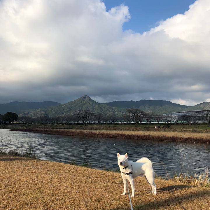 C0a903f8 23b4 4429 8bb5 24c50054d5c7 1583631911311