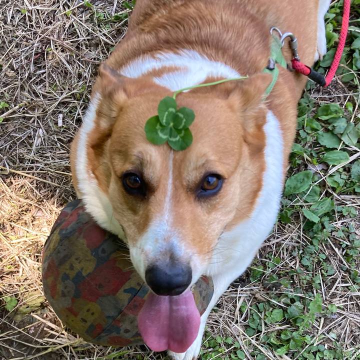 C0a92766 e1b5 4b9a 969d 70b12297cad6 1746668270065