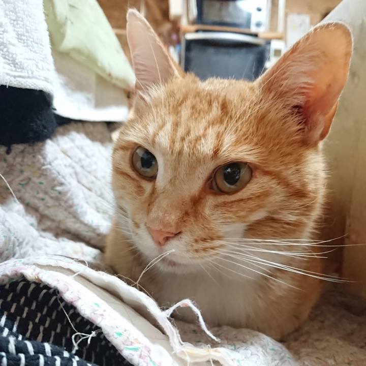 C0a9367f b525 4055 8e96 a9477850802d 1589317865074