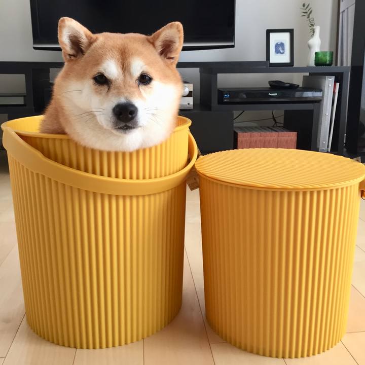 C0a9634d 2634 43c8 a8fb 0cb004426b32 1536045478560